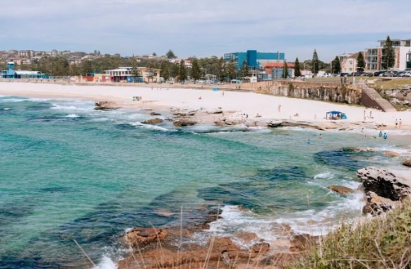 Avustralya'da katil köpek balığı aranıyor: Sydney'de plajlar kapandı