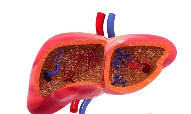 Vücudu temizliyor: Karaciğeri yenileyen en etkili besin! 