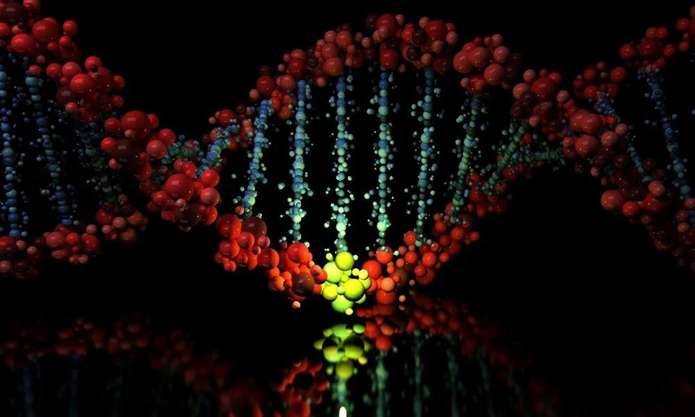 Yanıtı DNA'da gizli: Ortalama yaşam süresi neden 80 yıl?