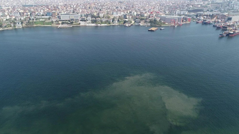 Korkutan görüntü: Müsilaj İstanbul'a geri mi dönüyor?