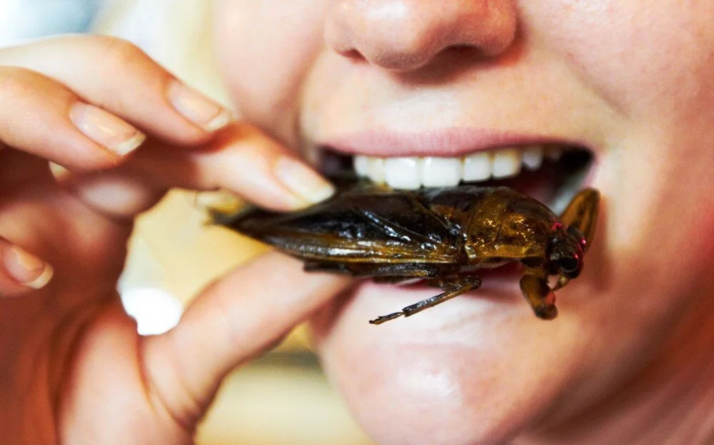 Uzmanlar açıkladı: Böcek yemek Dünya'yı kurtarabilir!