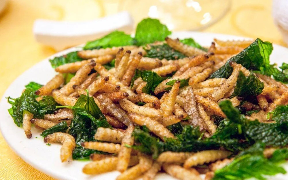 Uzmanlar açıkladı: Böcek yemek Dünya'yı kurtarabilir!
