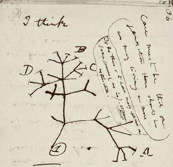 Darwin’in not defterinin sırrı: 22 yıl sonra bulundu!