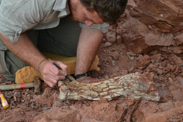 Arjantin’de tarihi keşif: 86 milyon yıl önce yaşamış!