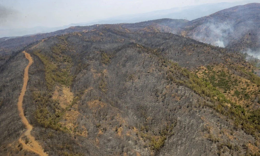 Acı tablo: Marmaris'te yanan ormanlık alan görüntülendi!