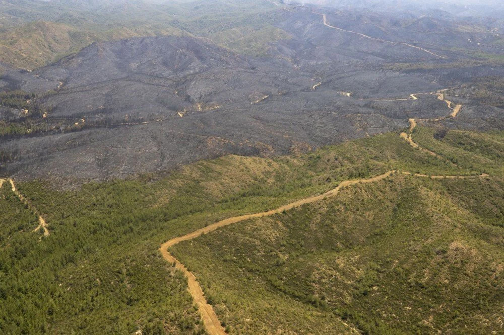 Acı tablo: Marmaris'te yanan ormanlık alan görüntülendi!