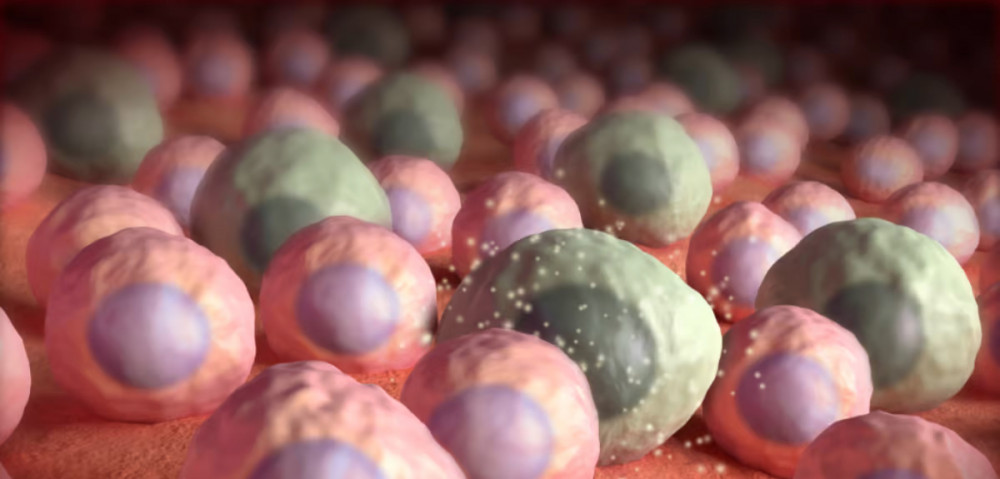 'Zombi hücre' ilacı: 200 yıl yaşamak hayal değil!