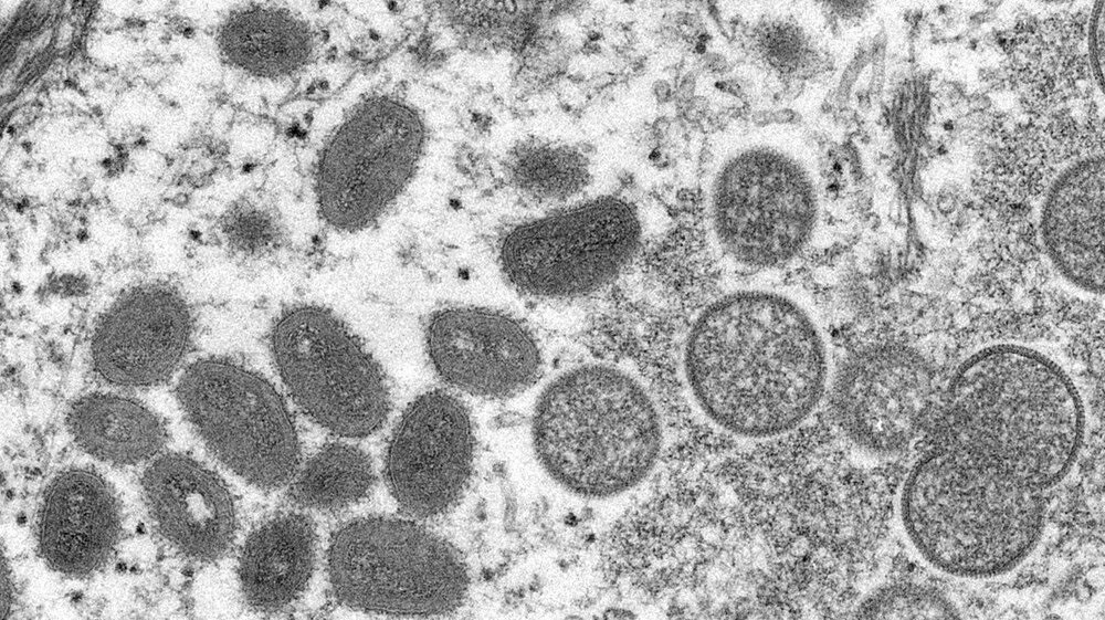 4 yılda 50 mutasyon: Virüsün yayılma hızı olağandışı!