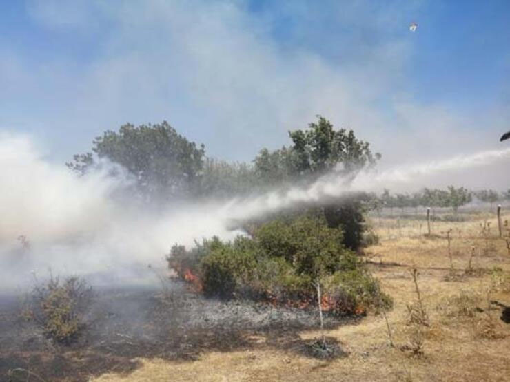 Alevler kısa sürede yayıldı: Çanakkale'de orman yangını!