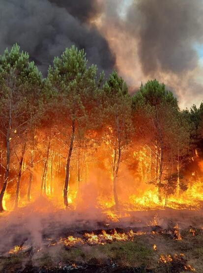 Fransa'daki yangın: Avrupa'nın kalbi yanmaya devam ediyor!