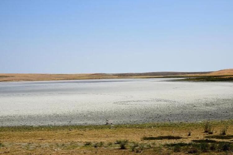 Göller kurudu... Flamingo cenneti çöl oldu!