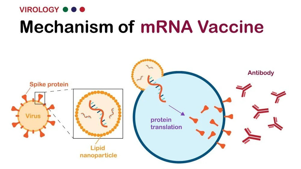 mRNA teknolojisi kullanılacak: MS'e karşı aşı umudu!