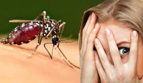 Çarpıcı araştırma: Sivrisinekler hangi insanları nasıl hedef alıyor?