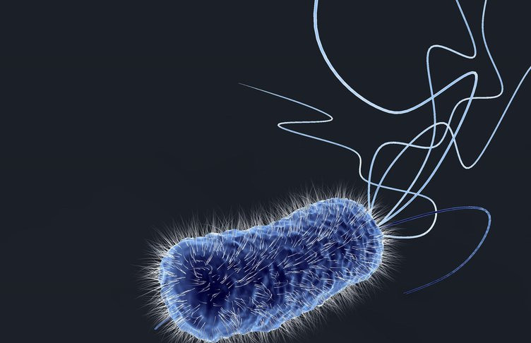 Basit bir kesik sandı, hayatına mal oldu: Et yiyen bakteri!
