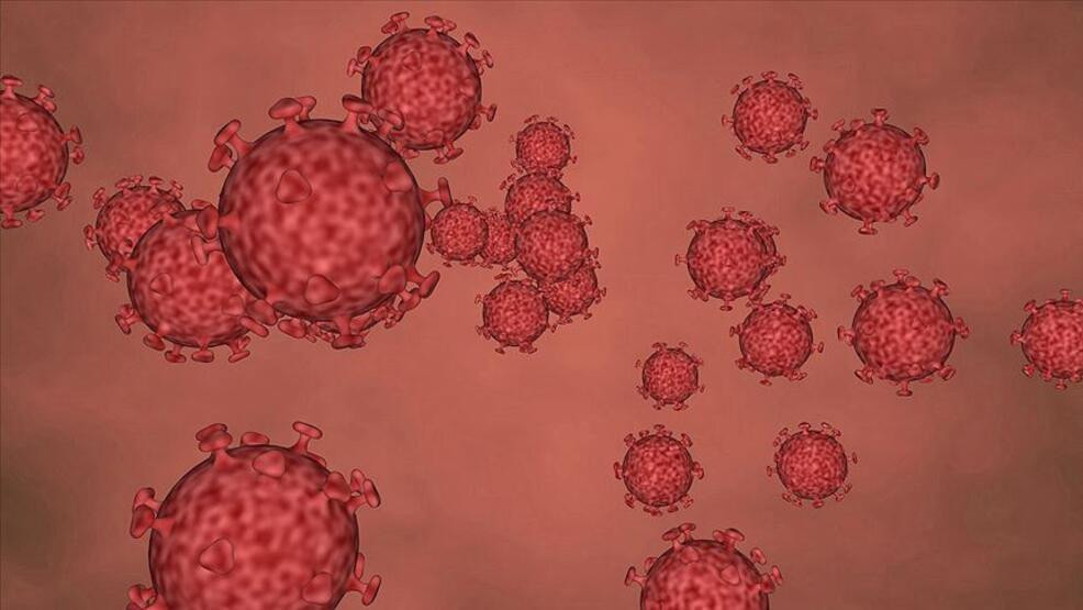 Tıpta çığır açan buluş: Kanser hücrelerini öldüren virüs!