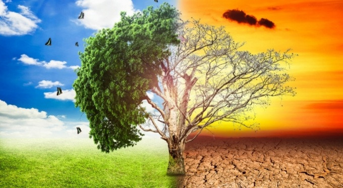 İklim değişikliğini yavaşlatmanın yolları