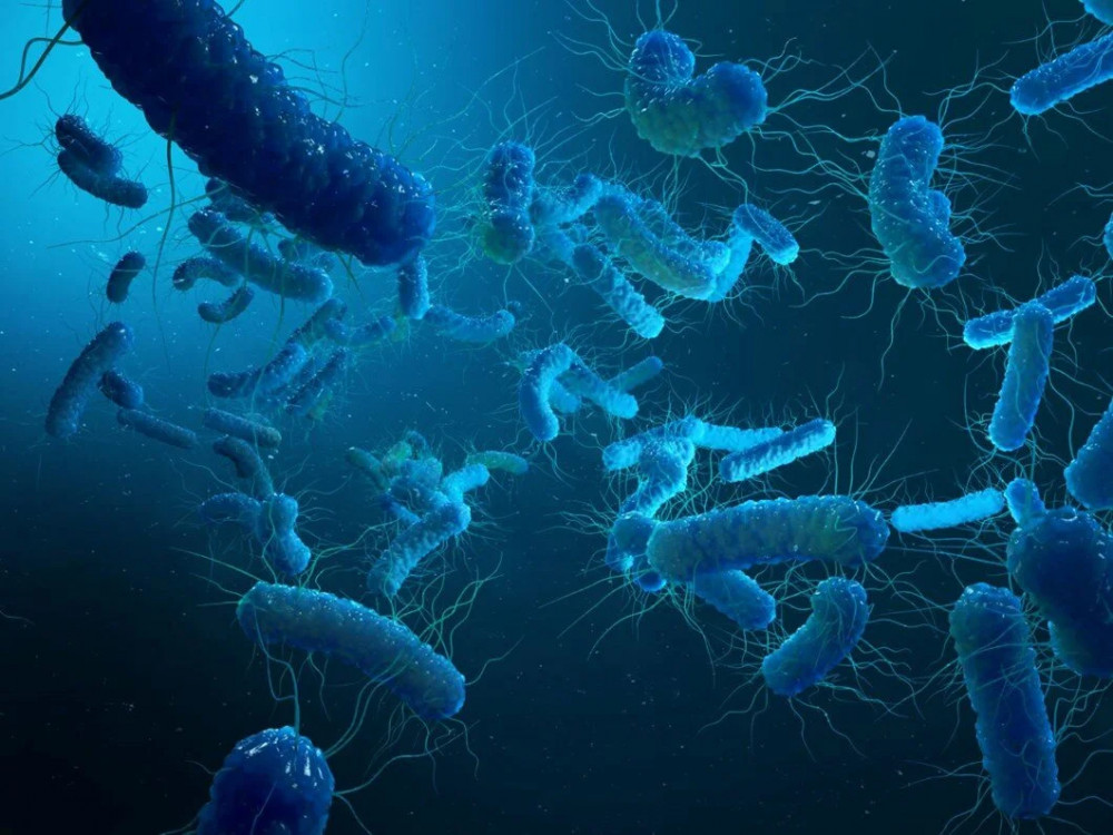 Klinikte bakteri kabusu: 6 kişi öldü!