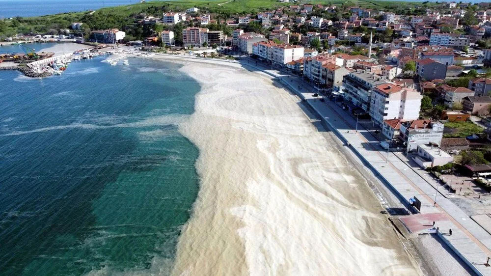 Marmara Denizi'nde tehlikeli sıcaklık artışı ve tehditler...