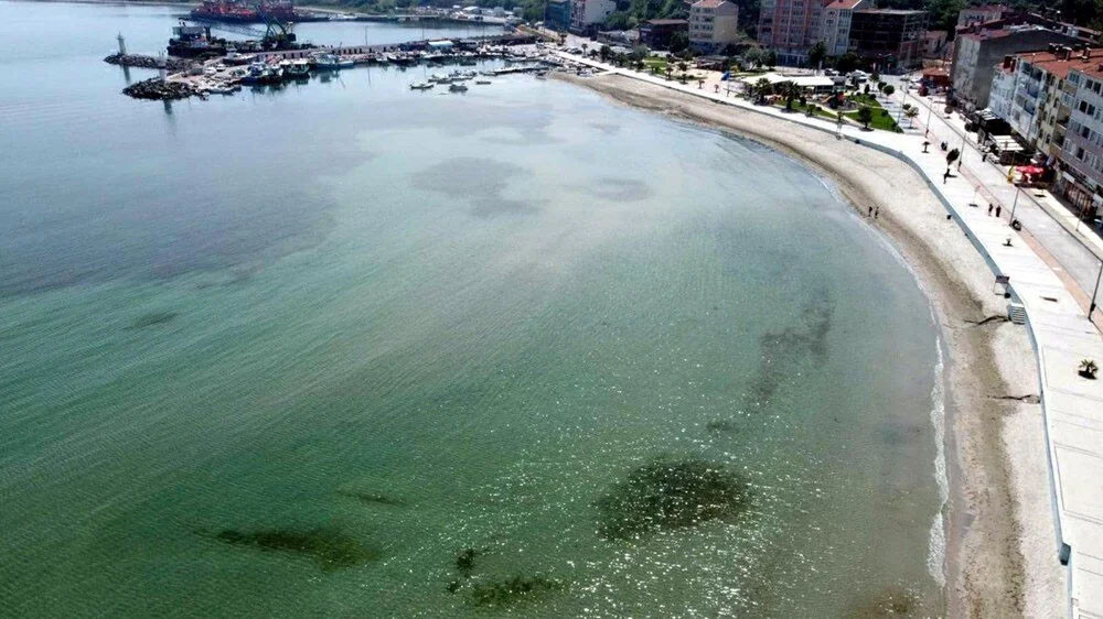 Marmara Denizi'nde tehlikeli sıcaklık artışı ve tehditler...