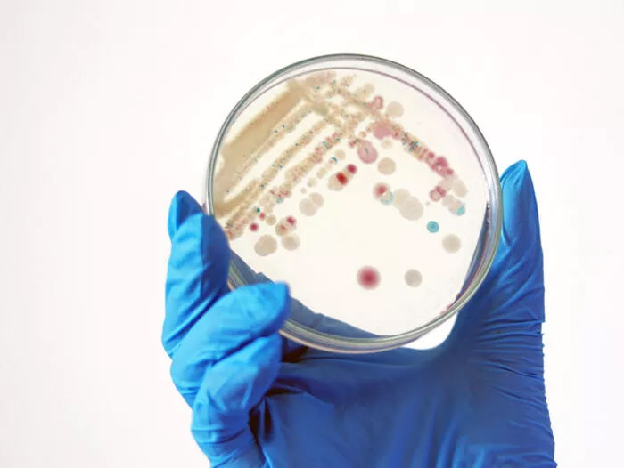 Kıyılara vuran tehlike: ABD'de 'et yiyen bakteri' vakalarında artış!