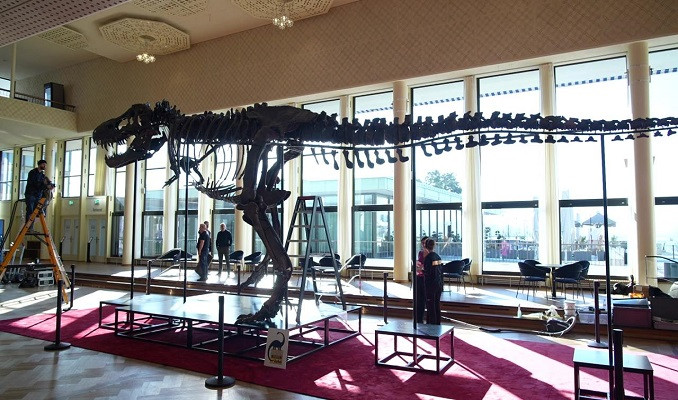 67 milyon yaşındaki T-Rex iskeleti 6,2 milyon dolara satıldı