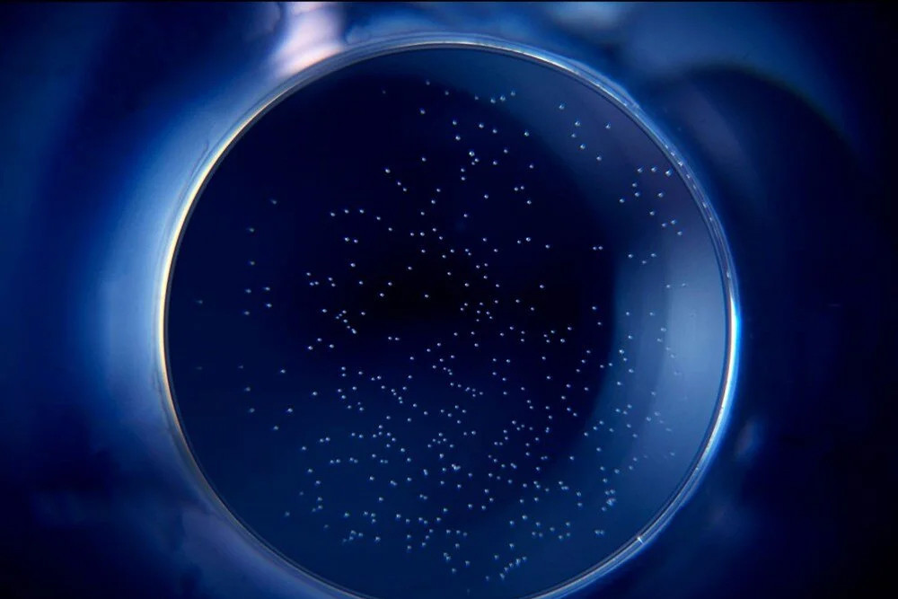 Dünyanın en derin ikinci mavi deliği: Binlerce yıllık sır ortaya çıktı!