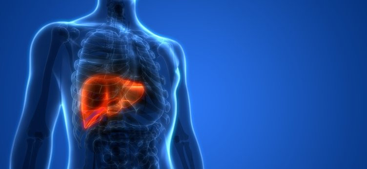 Karaciğerin tükendiğini belirten ilk belirti: Önemsenmezse hayati tehlike yaratıyor!