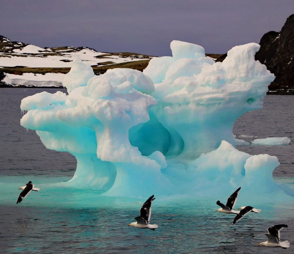 Antarktika'da korkutan gelişme!