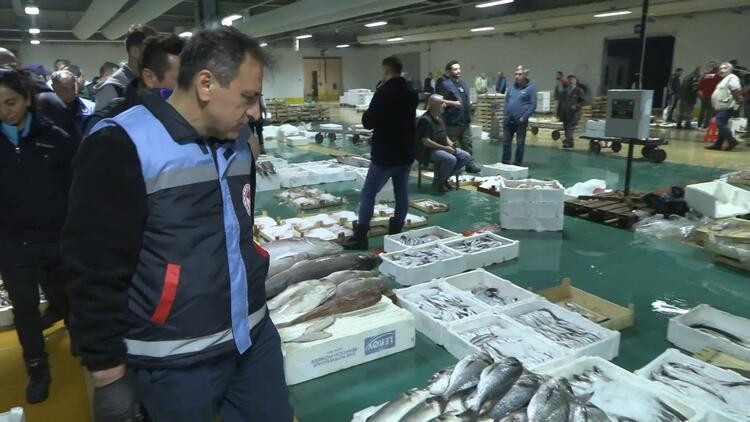 Marmara'da balık denetimi: 10 ton su ürününe el konuldu