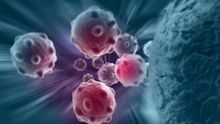 Bilim dünyasından kansere karşı yeni bir silah: Süper hücreler!